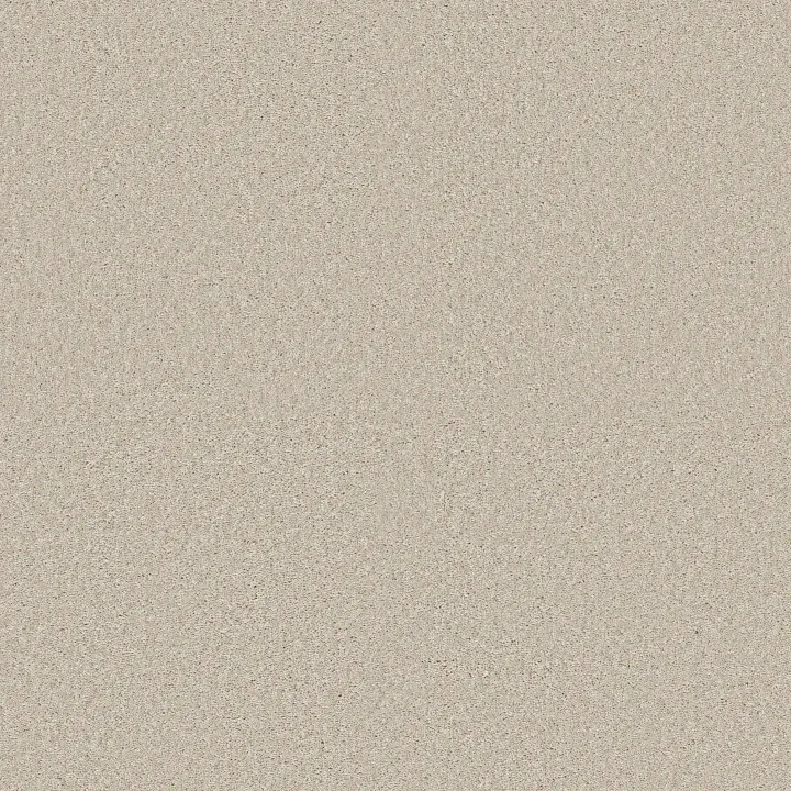Shaw Floors Well Played II 12 — Fresco · E0563-00100 — flooring selection with LeviArs Design & Remodeling