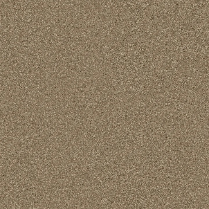 Shaw Floors Well Played II 12 — Honeycomb · E0563-00200 — flooring selection with LeviArs Design & Remodeling