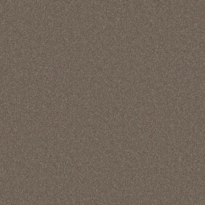 Shaw Floors Well Played II 12 — Mocha Frost · E0563-00702 — flooring selection with LeviArs Design & Remodeling