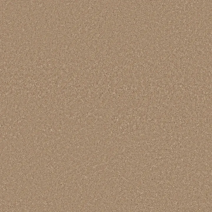 Shaw Floors Well Played II 12 — Natural Beige · E0563-00700 — flooring selection with LeviArs Design & Remodeling