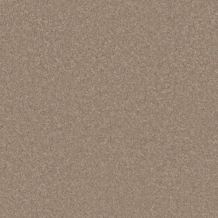 Shaw Floors Well Played II 12 — Sandy Nook · E0563-00104 — flooring selection with LeviArs Design & Remodeling