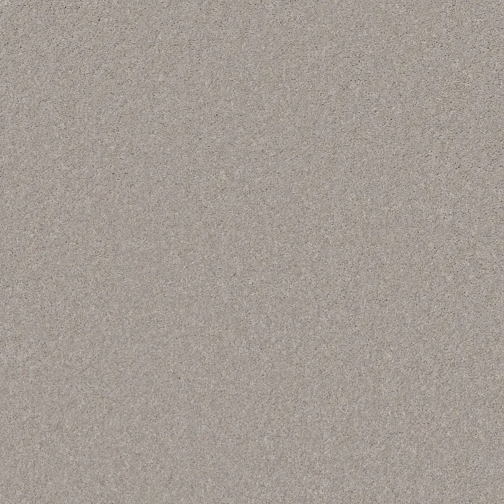 Shaw Floors Well Played II 12 — Sheer Silver · E0563-00500 — flooring selection with LeviArs Design & Remodeling
