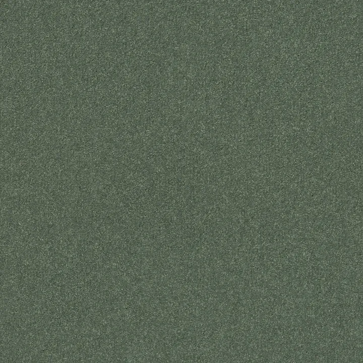 Shaw Floors Well Played II 12 — Spring Leaf · E0563-00300 — flooring selection with LeviArs Design & Remodeling