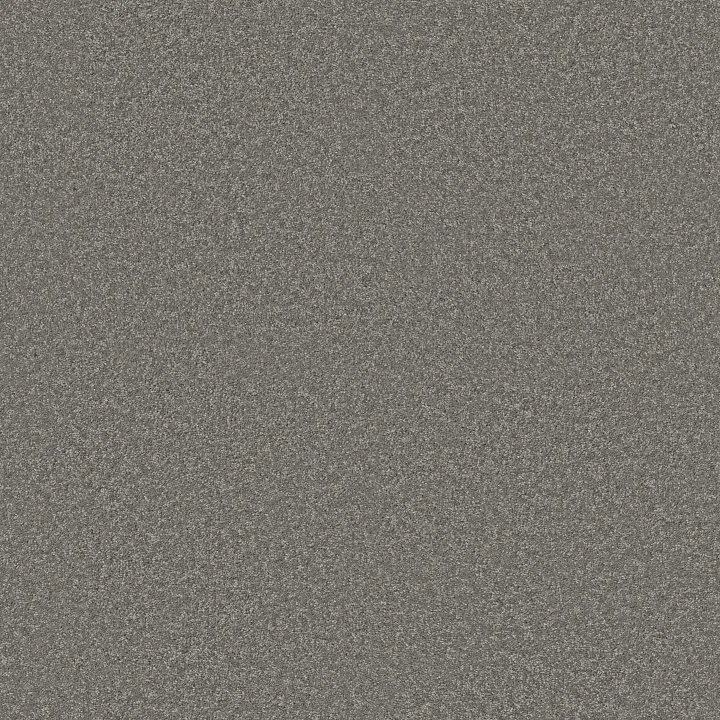 Shaw Floors Well Played II 12 — Thunder · E0563-00503 — flooring selection with LeviArs Design & Remodeling