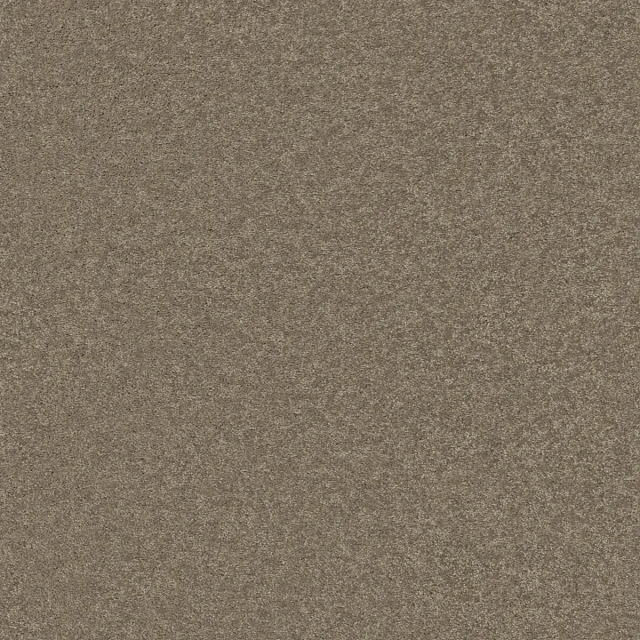 Shaw Floors Well Played II 12 — Wild Rice · E0563-00105 — flooring selection with LeviArs Design & Remodeling
