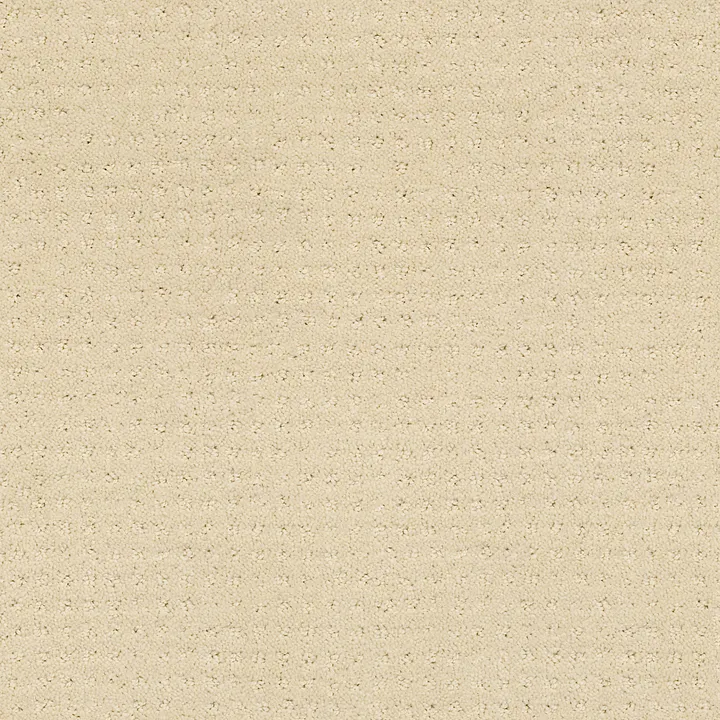 Shaw Floors Westminster — Airy White · E0117-00100 — flooring selection with LeviArs Design & Remodeling