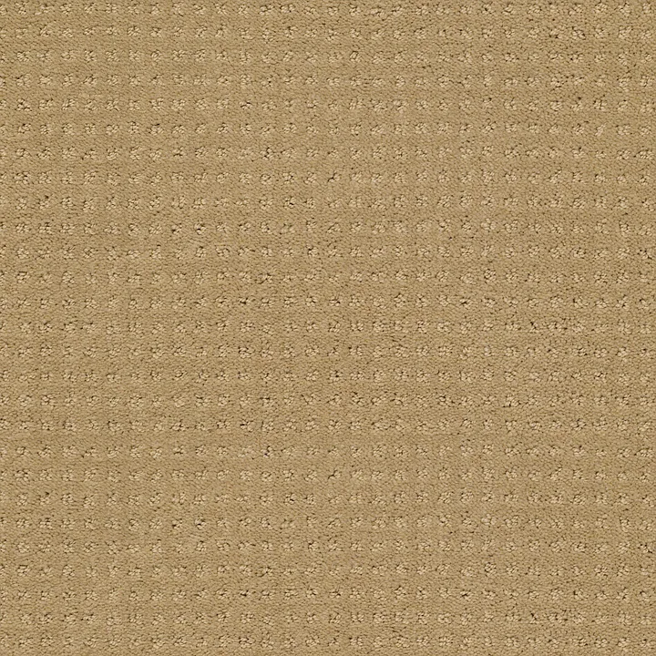 Shaw Floors Westminster — Field Stone · E0117-00701 — flooring selection with LeviArs Design & Remodeling