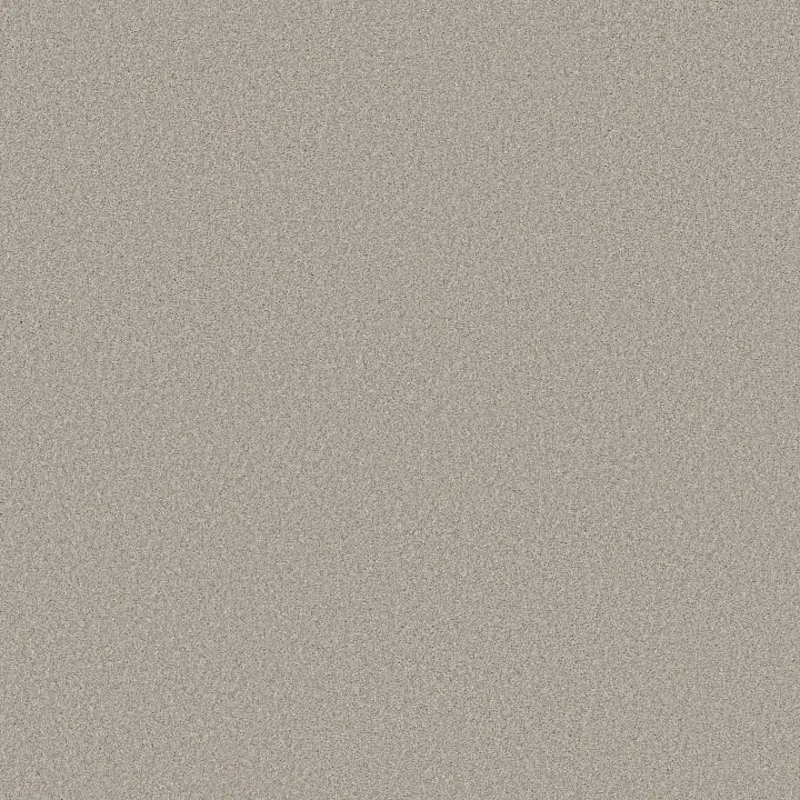 Shaw Floors Wonderland II — Antiquity · 5E887-00132 — flooring selection with LeviArs Design & Remodeling