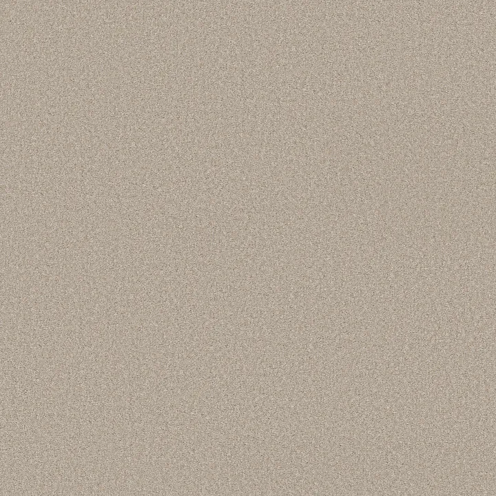 Shaw Floors Wonderland II — Outer Banks · 5E887-00230 — flooring selection with LeviArs Design & Remodeling