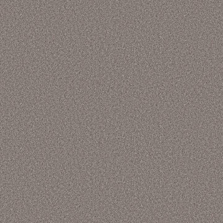 Shaw Floors Wonderland I — Pier · 5E895-00731 — flooring selection with LeviArs Design & Remodeling
