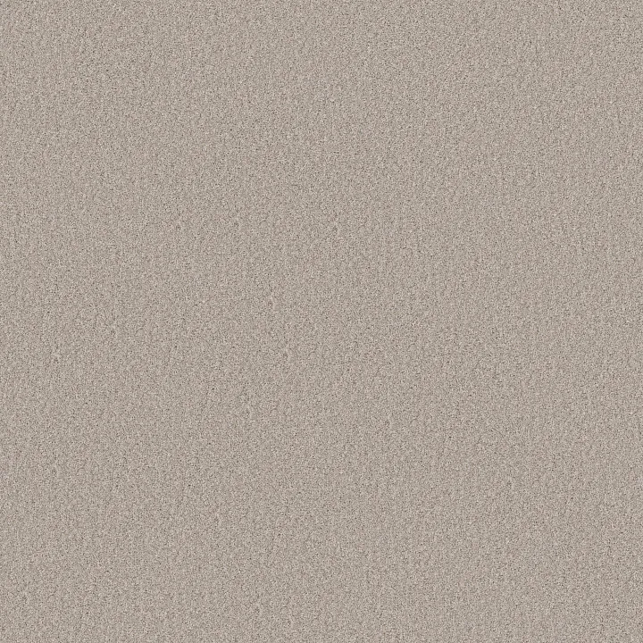 Shaw Floors Wonderland II — Silence · 5E887-00137 — flooring selection with LeviArs Design & Remodeling