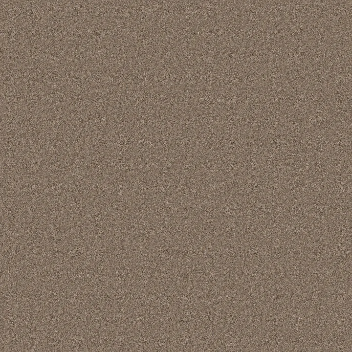 Shaw Floors Wonderland I — Slate · 5E895-00732 — flooring selection with LeviArs Design & Remodeling