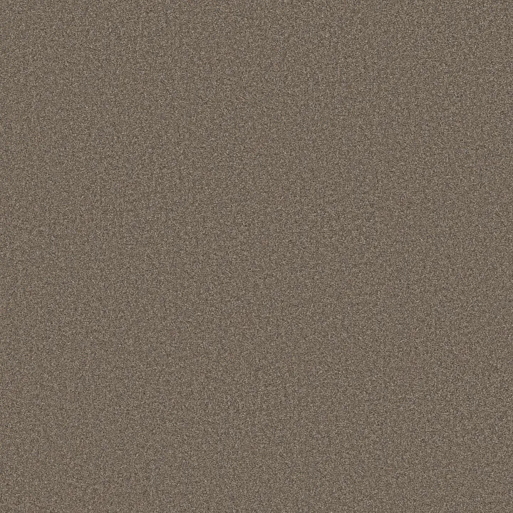 Shaw Floors Wonderland I — Smoked Tan · 5E895-00733 — flooring selection with LeviArs Design & Remodeling