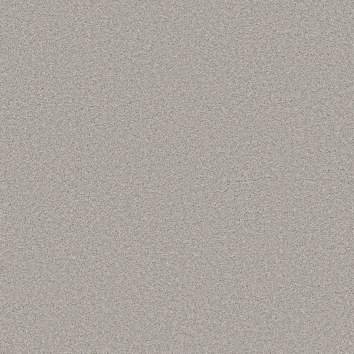 Shaw Floors Wonderland III 12' — Antiquity · 5E896-00132 — flooring selection with LeviArs Design & Remodeling