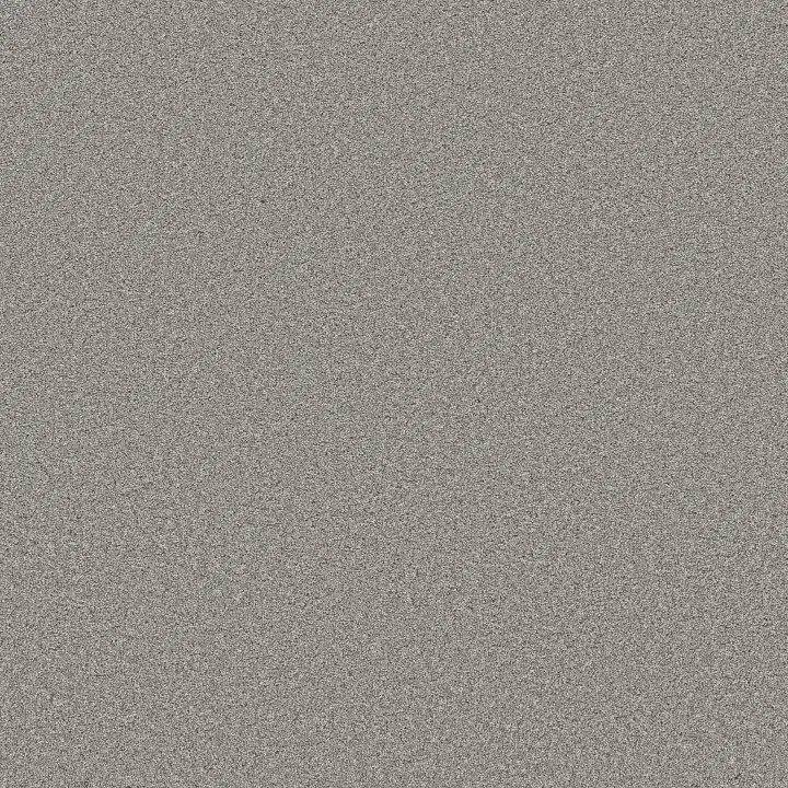 Shaw Floors Wonderland III 12' — Greige · 5E896-00730 — flooring selection with LeviArs Design & Remodeling