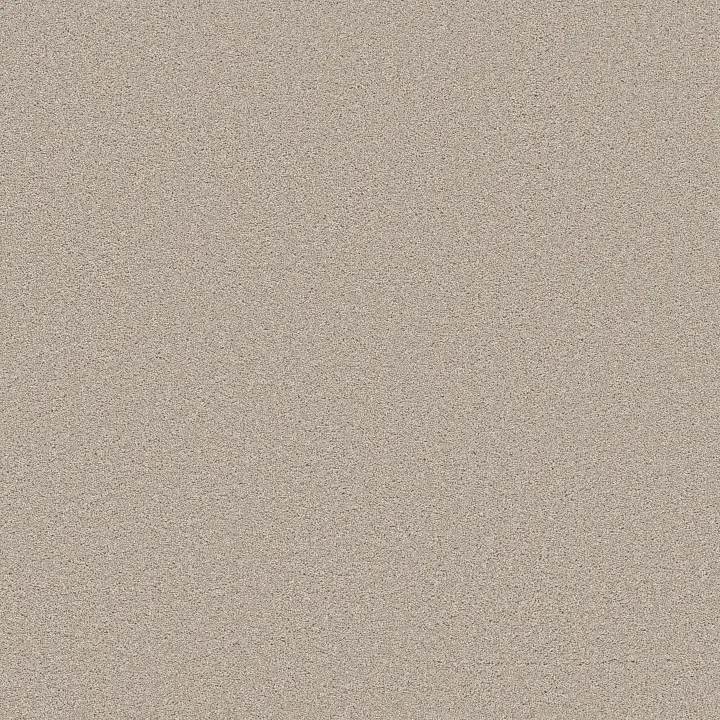 Shaw Floors Wonderland III 12' — Outer Banks · 5E896-00230 — flooring selection with LeviArs Design & Remodeling