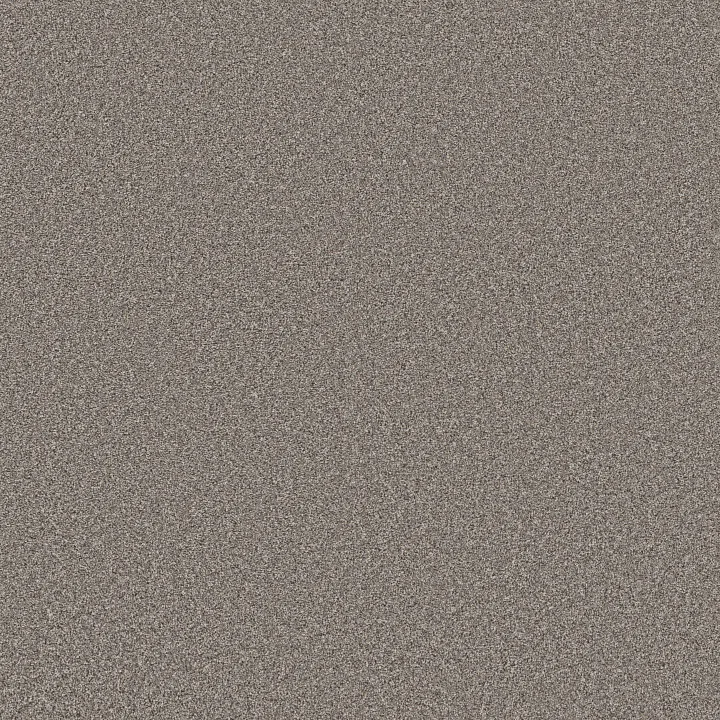 Shaw Floors Wonderland III 12' — Pier · 5E896-00731 — flooring selection with LeviArs Design & Remodeling