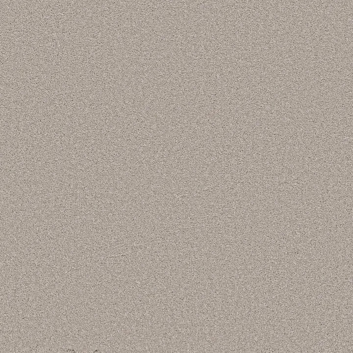 Shaw Floors Wonderland III 12' — Silence · 5E896-00137 — flooring selection with LeviArs Design & Remodeling