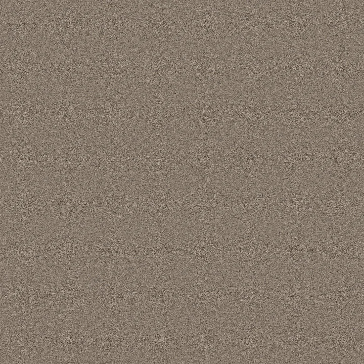 Shaw Floors Wonderland III 12' — Slate · 5E896-00732 — flooring selection with LeviArs Design & Remodeling