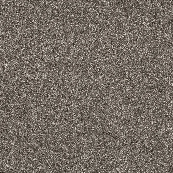Shaw Floors Yes You Can II 12' — Ashes · 5E569-00501 — flooring selection with LeviArs Design & Remodeling