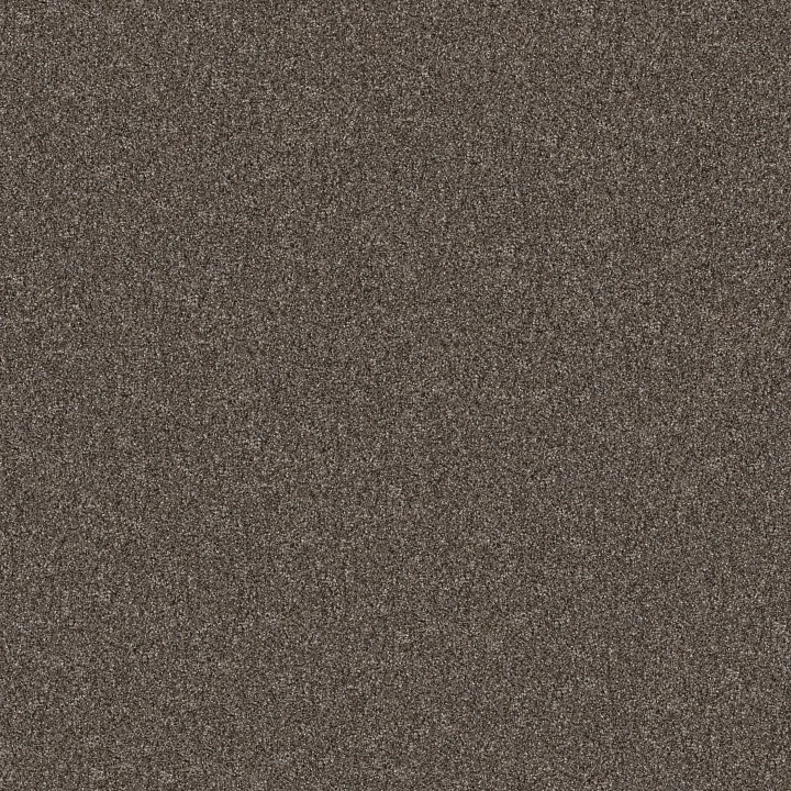 Shaw Floors Yes You Can II 12' — Cafe Noir · 5E569-00706 — flooring selection with LeviArs Design & Remodeling