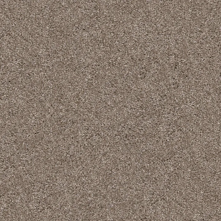 Shaw Floors Yes You Can II 12' — Cameo · 5E569-00113 — flooring selection with LeviArs Design & Remodeling