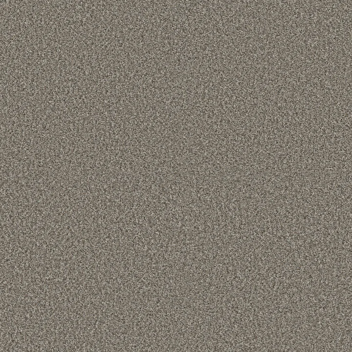 Shaw Floors Renewed Energy I — Granite · 5E671-00121 — flooring selection with LeviArs Design & Remodeling