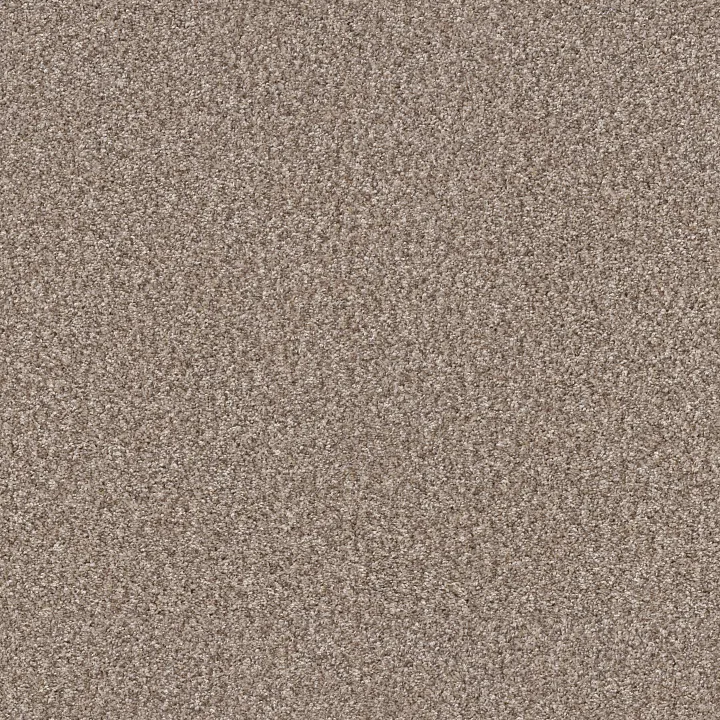 Shaw Floors Yes You Can II 12' — Glacier · 5E569-00110 — flooring selection with LeviArs Design & Remodeling