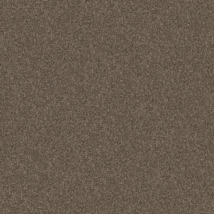 Shaw Floors Yes You Can II 12' — Mission Ridge · 5E569-00705 — flooring selection with LeviArs Design & Remodeling
