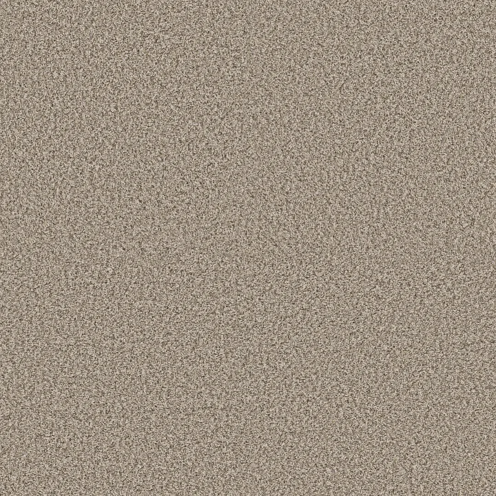 Shaw Floors Renewed Energy I — Sandstone · 5E671-00119 — flooring selection with LeviArs Design & Remodeling