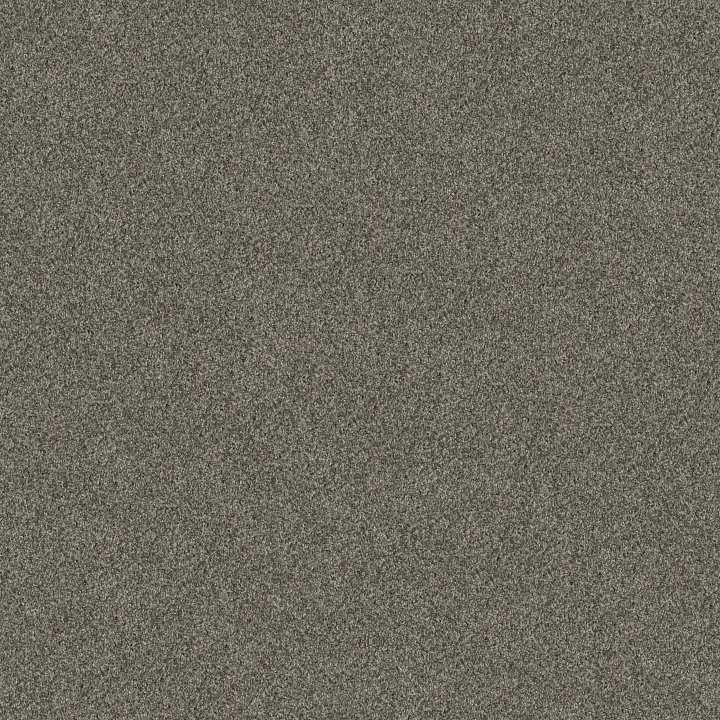 Shaw Floors Yes You Can II 12' — Rerooted Nature · 5E569-00300 — flooring selection with LeviArs Design & Remodeling