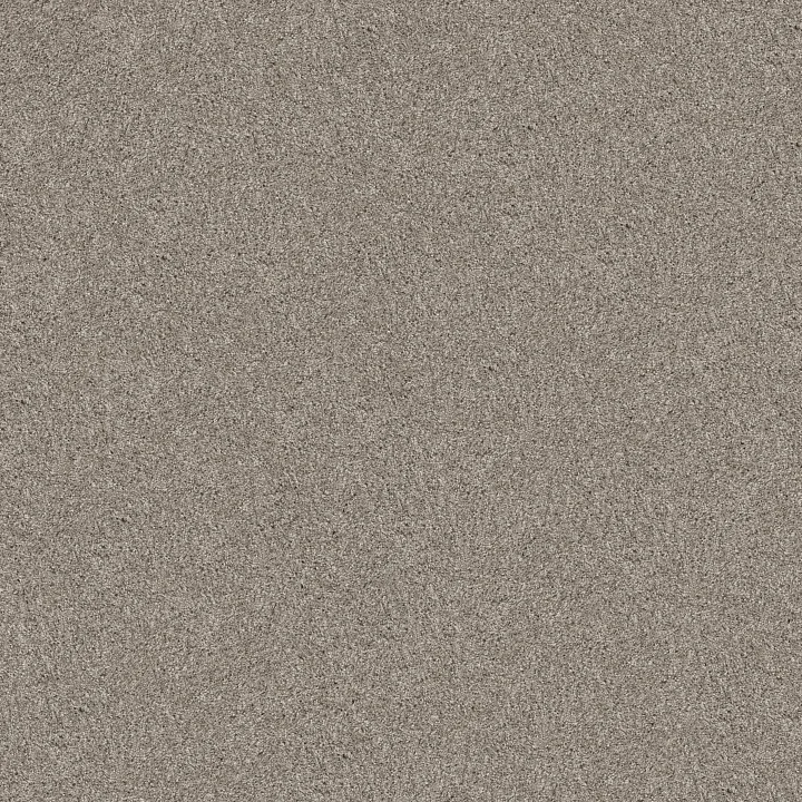 Shaw Floors Yes You Can II 12' — Sculpture · 5E569-00115 — flooring selection with LeviArs Design & Remodeling