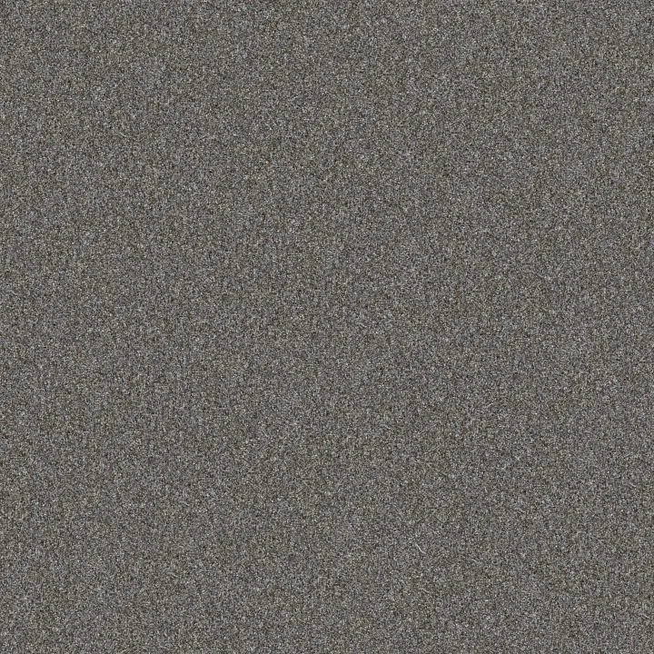 Shaw Floors Yes You Can II 12' — Sea Ice · 5E569-00403 — flooring selection with LeviArs Design & Remodeling
