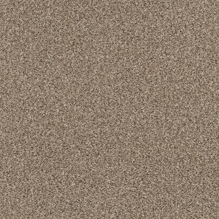 Shaw Floors Yes You Can II 15' — Sea Shell · 5E572-00100 — flooring selection with LeviArs Design & Remodeling