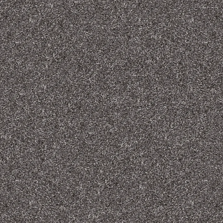 Shaw Floors Yes You Can II 12' — Shadow · 5E569-00502 — flooring selection with LeviArs Design & Remodeling