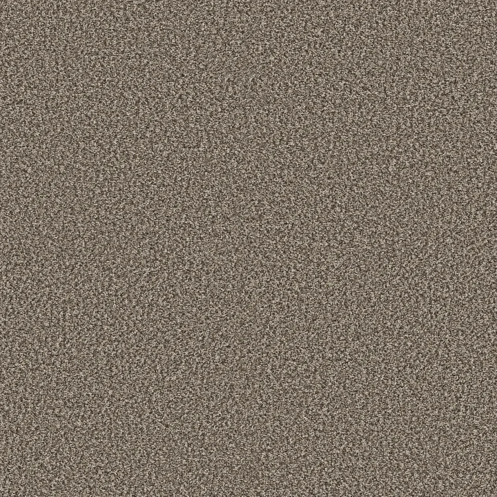 Shaw Floors Renewed Energy I — Countryside · 5E671-00122 — flooring selection with LeviArs Design & Remodeling