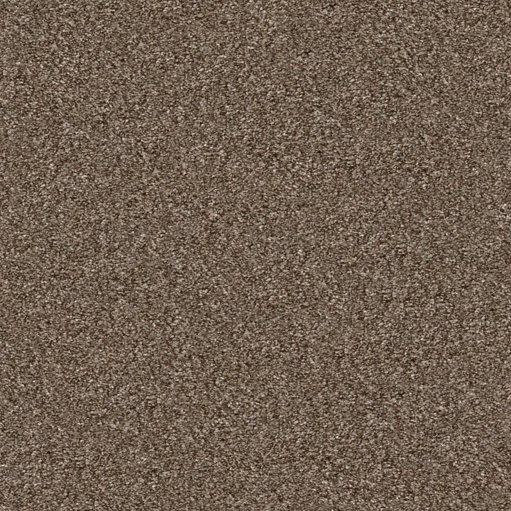 Shaw Floors Yes You Can II 12' — Worn Path · 5E569-00700 — flooring selection with LeviArs Design & Remodeling