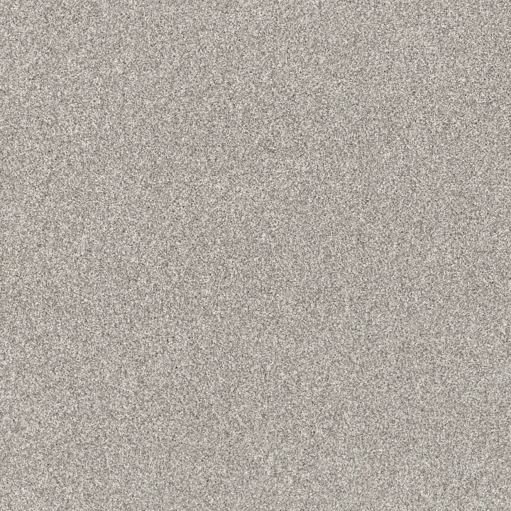 Shaw Floors Yes You Can II 15' — Frozen · 5E572-00107 — flooring selection with LeviArs Design & Remodeling