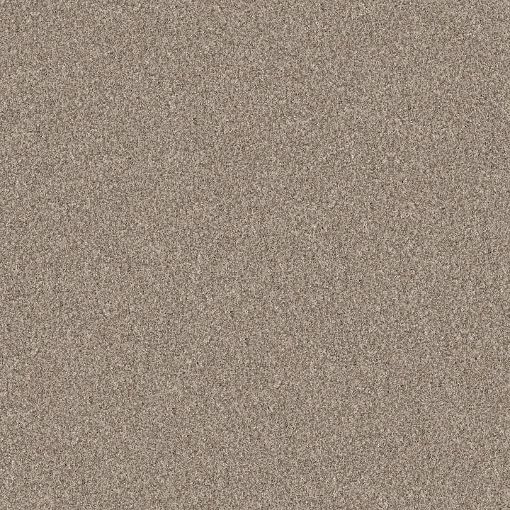 Shaw Floors Yes You Can II 15' — Natural · 5E572-00109 — flooring selection with LeviArs Design & Remodeling