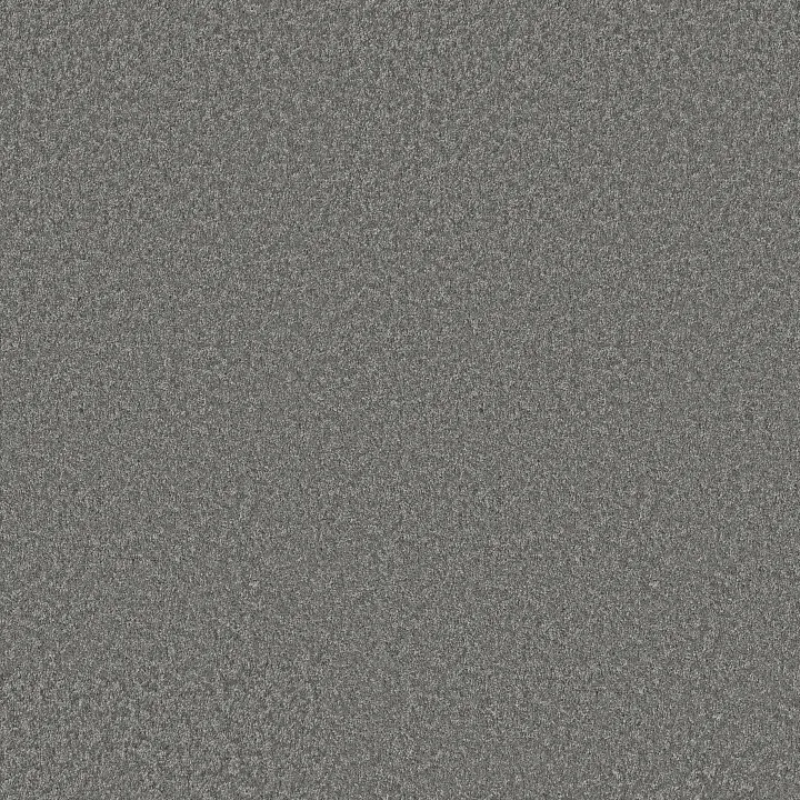 Shaw Floors You Got This I — Ashes · 5E560-00501 — flooring selection with LeviArs Design & Remodeling