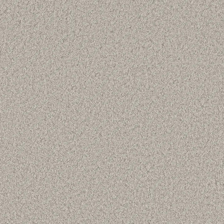 Shaw Floors You Got This I — Chic Greige · 5E560-00111 — flooring selection with LeviArs Design & Remodeling