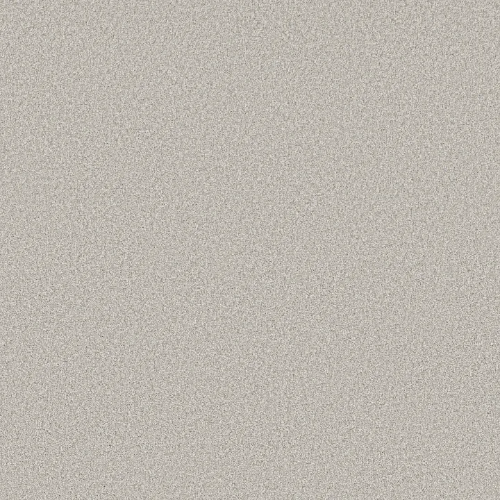 Shaw Floors You Got This I — Frozen · 5E560-00107 — flooring selection with LeviArs Design & Remodeling