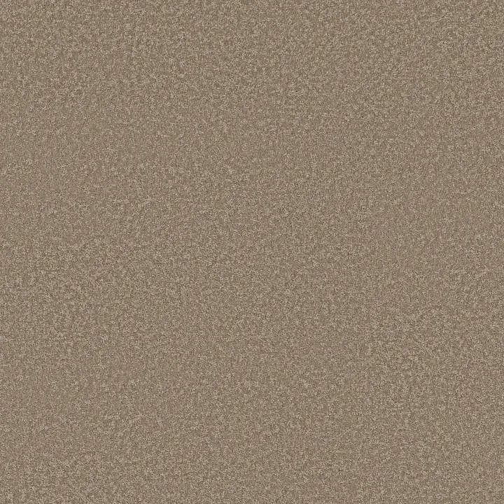 Shaw Floors You Got This I — Mission Ridge · 5E560-00705 — flooring selection with LeviArs Design & Remodeling