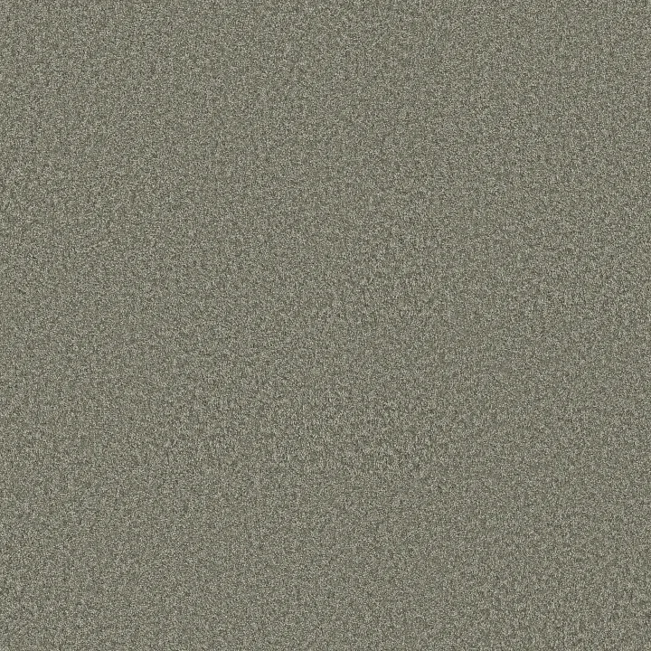 Shaw Floors You Got This I — Rerooted Nature · 5E560-00300 — flooring selection with LeviArs Design & Remodeling