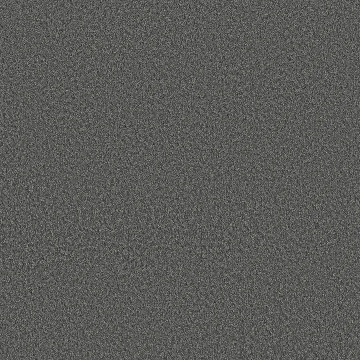 Shaw Floors You Got This I — Shadow · 5E560-00502 — flooring selection with LeviArs Design & Remodeling