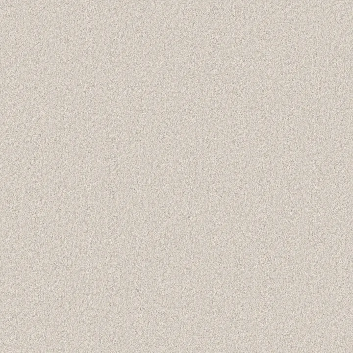 Shaw Floors You Got This I — Snowfall · 5E560-00150 — flooring selection with LeviArs Design & Remodeling