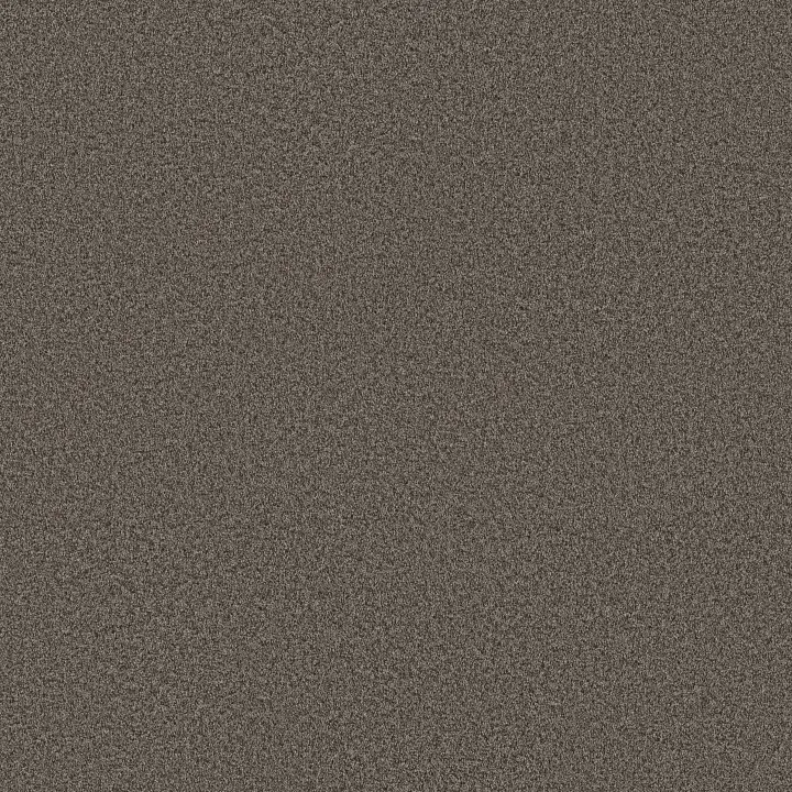 Shaw Floors You Got This I — Urban Rustic · 5E560-00708 — flooring selection with LeviArs Design & Remodeling