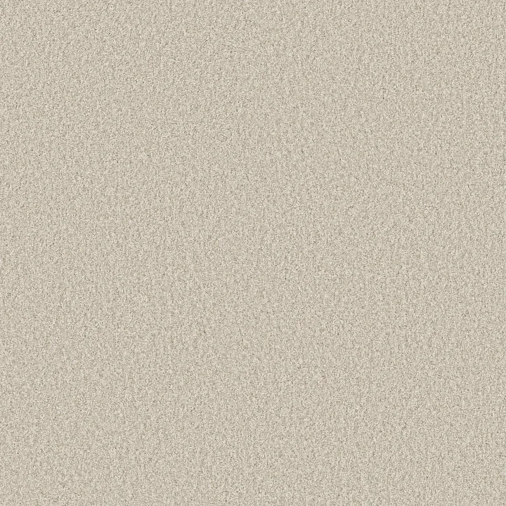 Shaw Floors You Got This I — Warm Light · 5E560-00116 — flooring selection with LeviArs Design & Remodeling