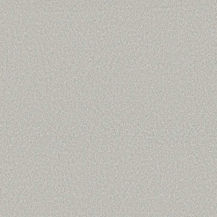 Shaw Floors You Got This I — Whitecap · 5E560-00155 — flooring selection with LeviArs Design & Remodeling