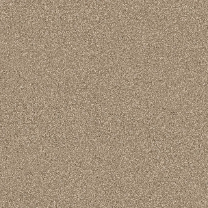Shaw Floors You Got This I — Worn Path · 5E560-00700 — flooring selection with LeviArs Design & Remodeling